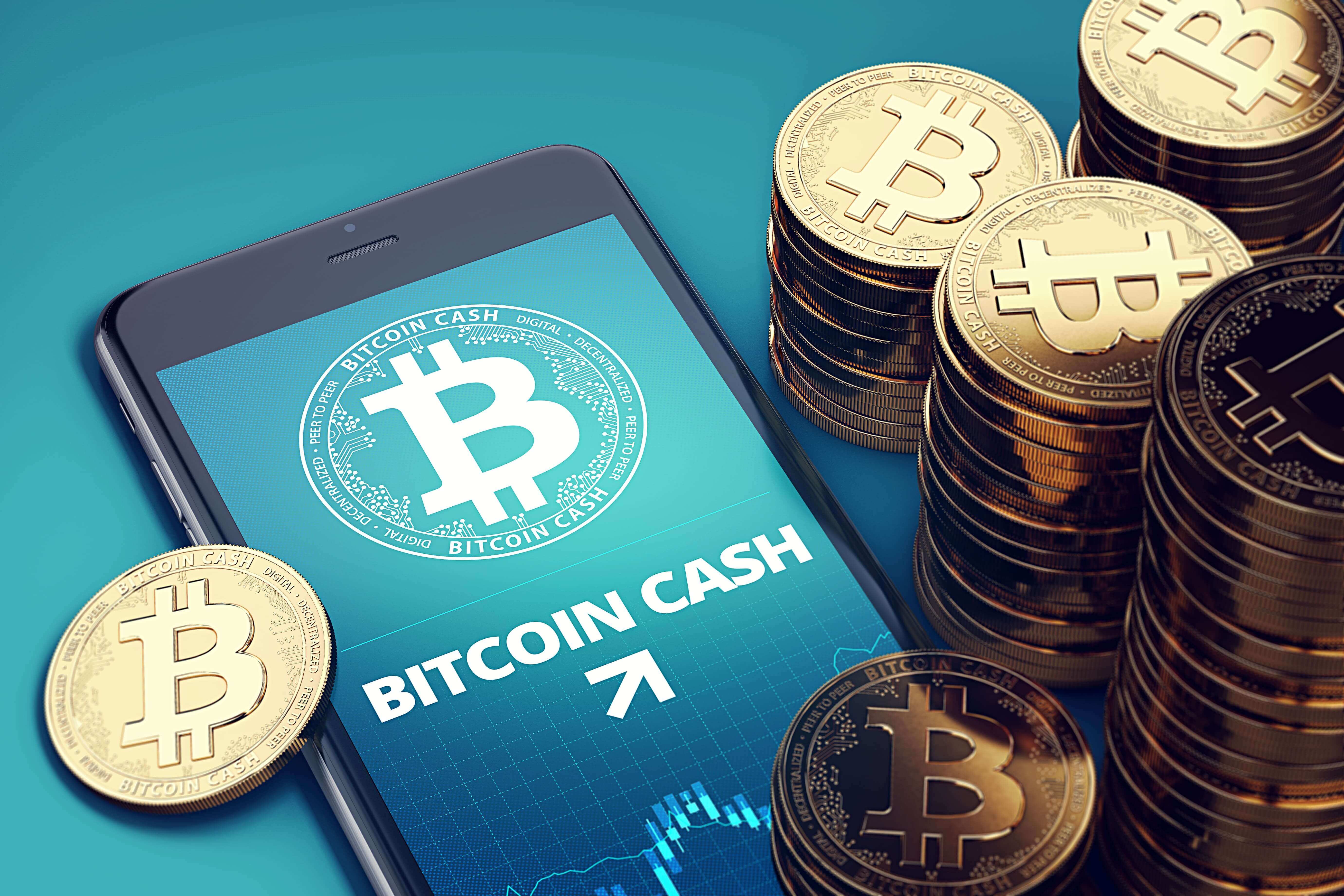 ビットコインキャッシュ（BCH）の画像